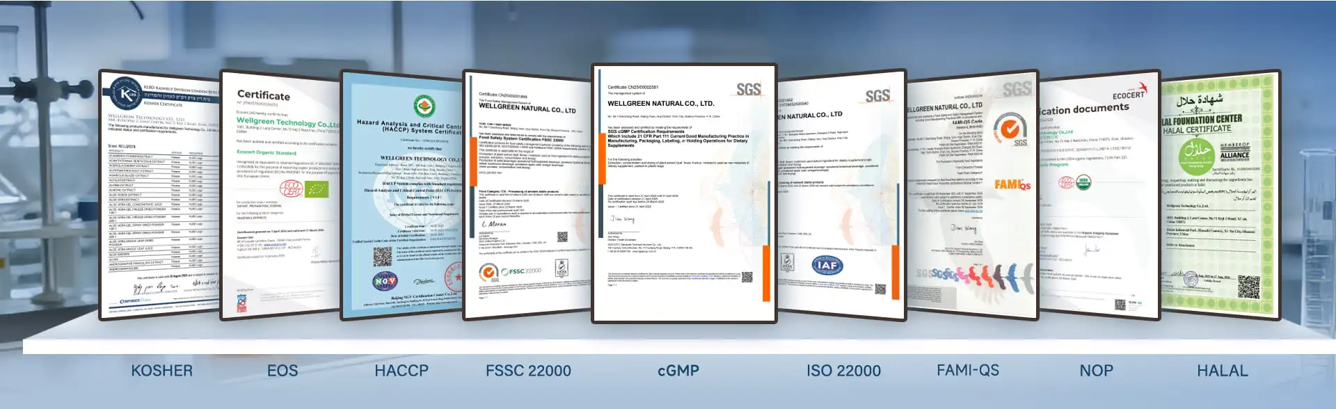 Certification Certification