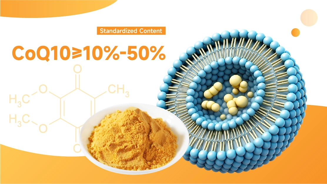 Liposomal Coenzyme Q10 Powder Liposomal Coenzyme Q10 Powder