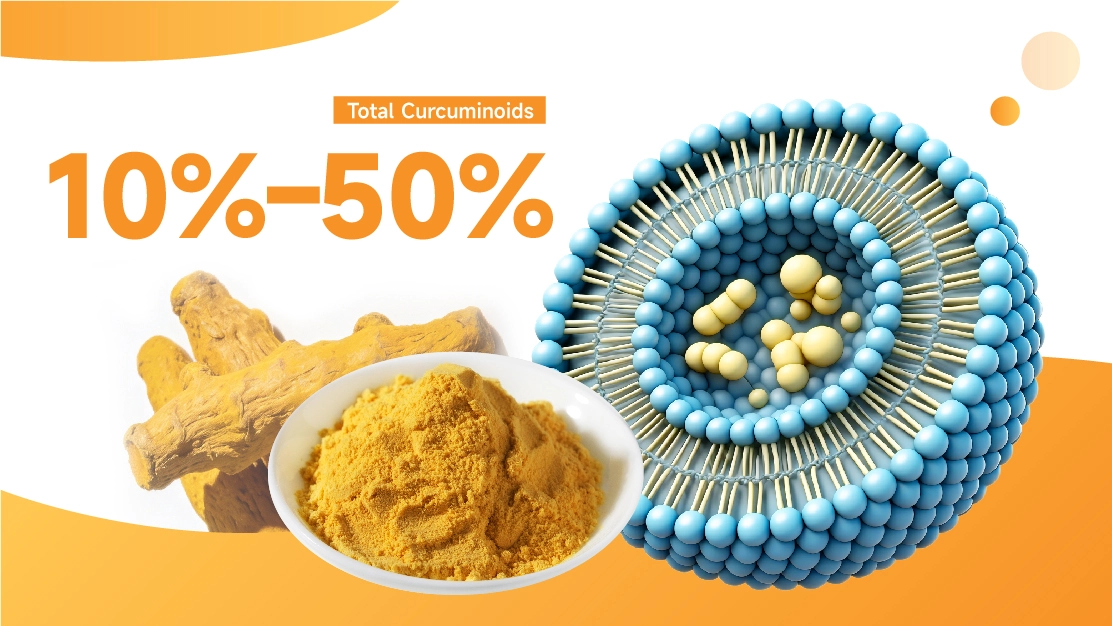 Liposomal Curcumin Powder Liposomal Curcumin Powder