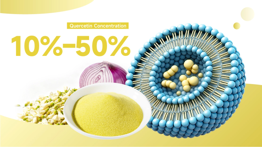 Bulk Liposomal Quercetin Powder for Supplements Bulk Liposomal Quercetin Powder for Supplements