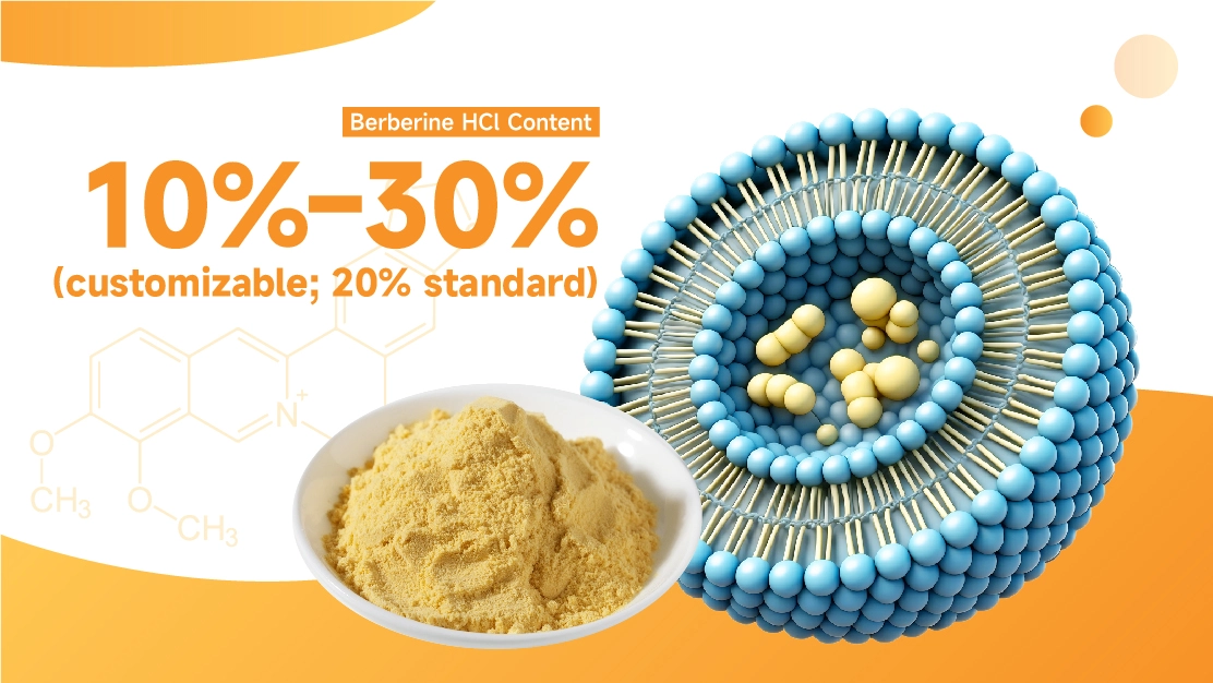 Liposomal Berberine Powder Liposomal Berberine Powder