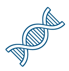 NAD+ Metabolism Support NAD+ Metabolism Support
