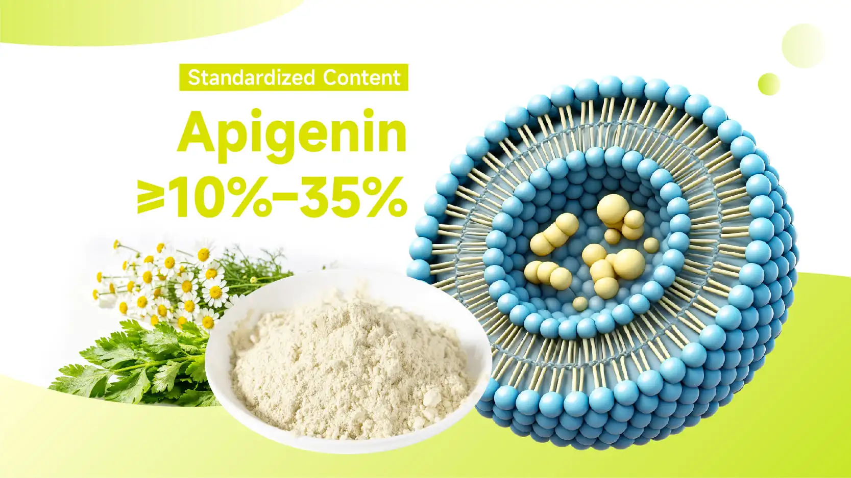 Liposomal Apigenin Powder Liposomal Apigenin Powder