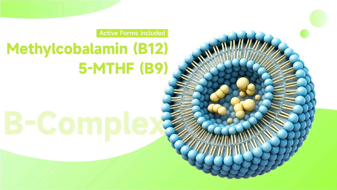 Liposomal Vitamin B Complex Liposomal Vitamin B Complex