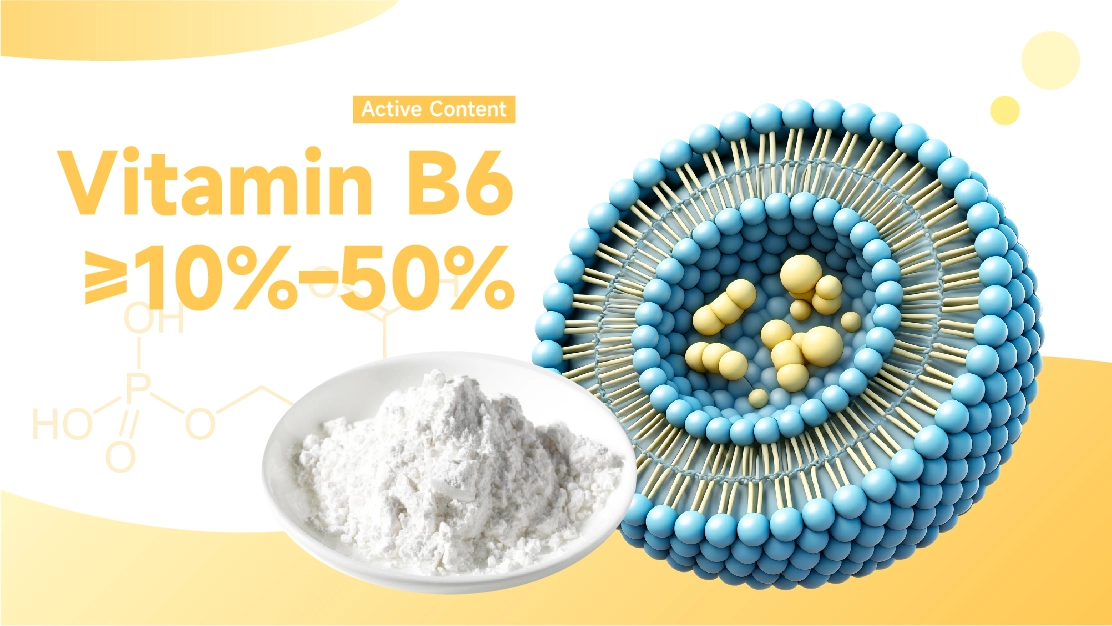EmerWell EncapsWell Liposomal Vitamin B6 Powder Dissolving in Water EmerWell EncapsWell Liposomal Vitamin B6 Powder Dissolving in Water