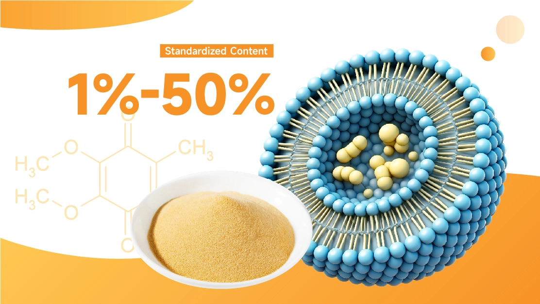 Liposomal Vitamin B9 Liposomal Vitamin B9