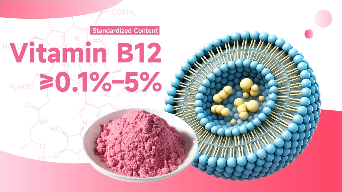 Liposomal Vitamin B12 Liposomal Vitamin B12