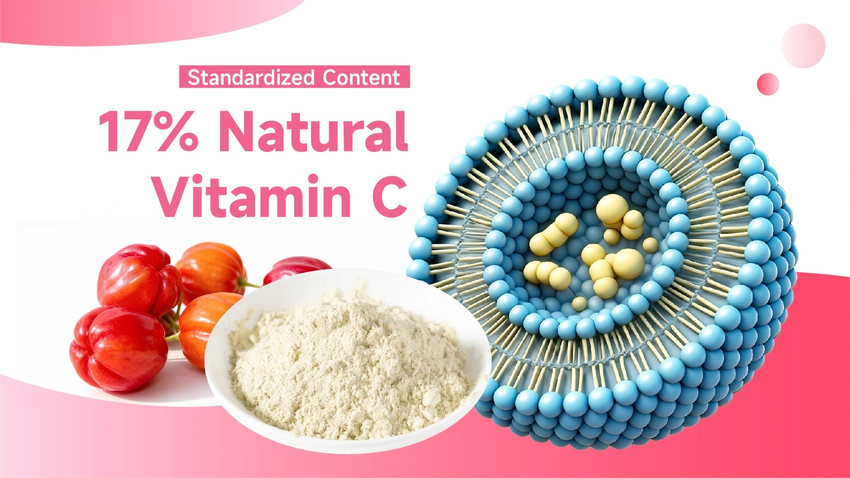 Liposomal Acerola Cherry Extract Liposomal Acerola Cherry Extract