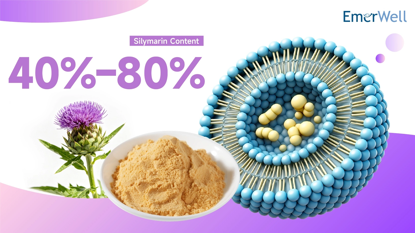 Liposomal Milk Thistle Extract Liposomal Milk Thistle Extract