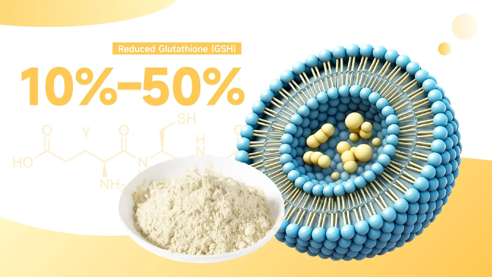 Liposomal Glutathione Powder Liposomal Glutathione Powder