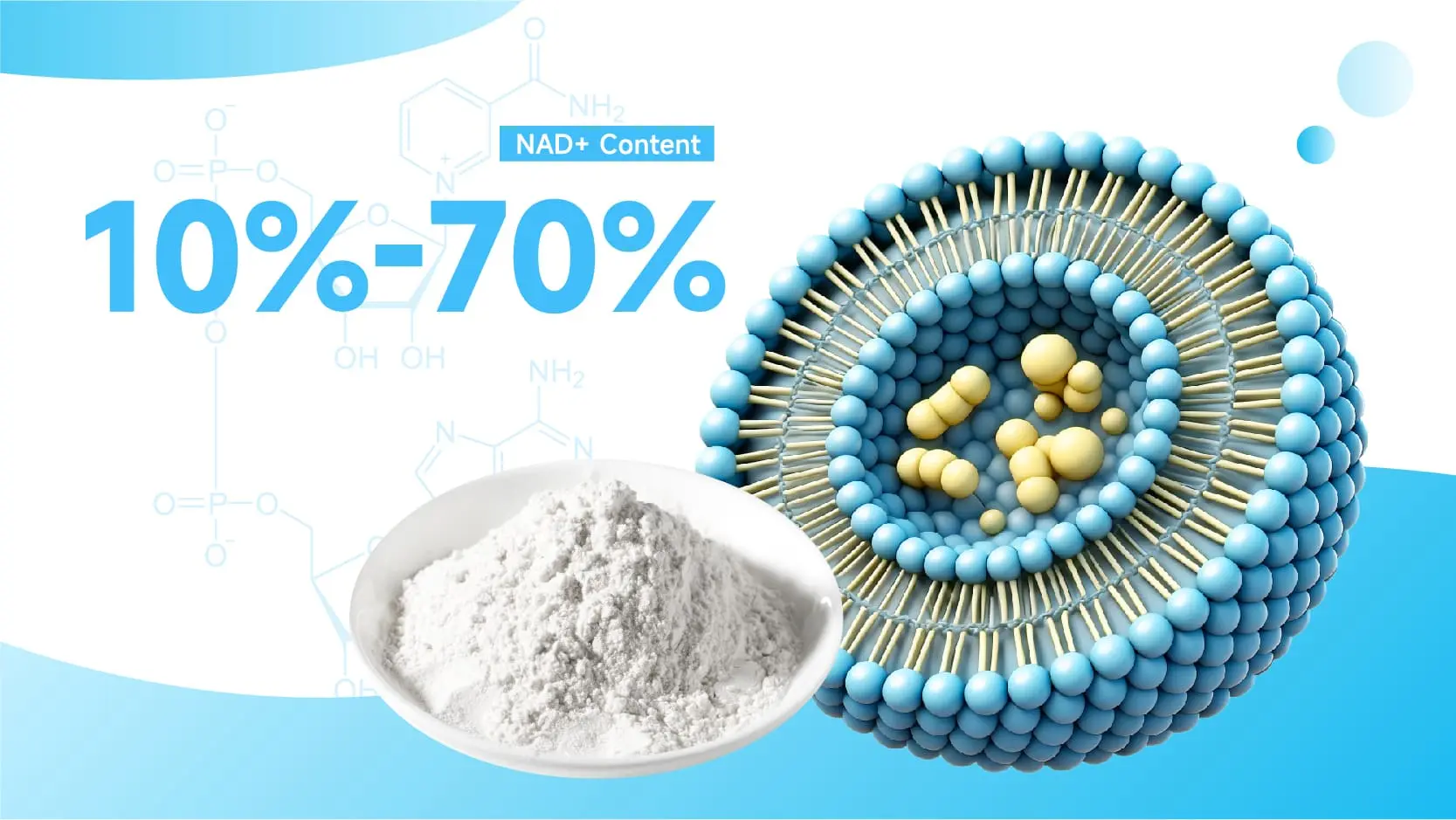 Liposomal NAD+ Powder Liposomal NAD+ Powder