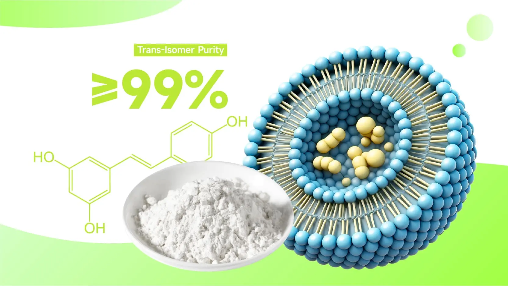Liposomal Resveratrol Powder Liposomal Resveratrol Powder