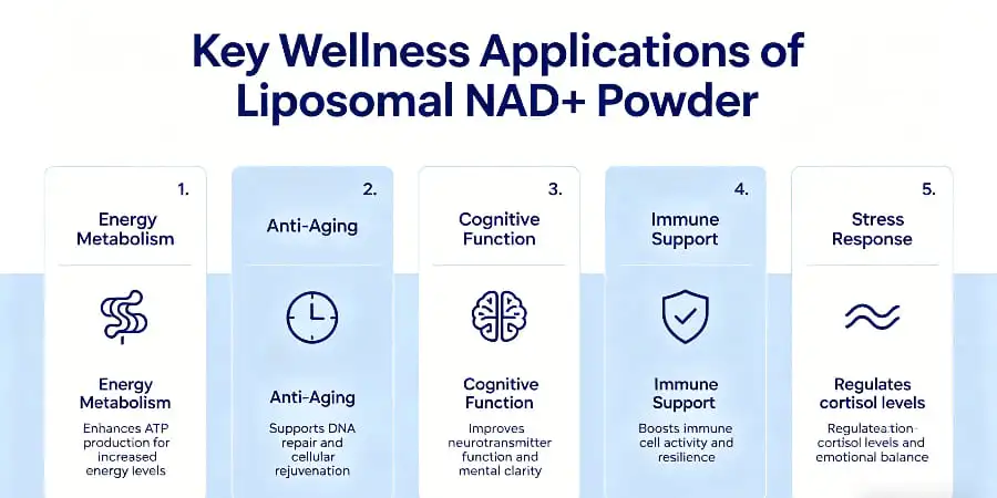 Key Wellness Applications of Liposomal NAD+ Powder Key Wellness Applications of Liposomal NAD+ Powder