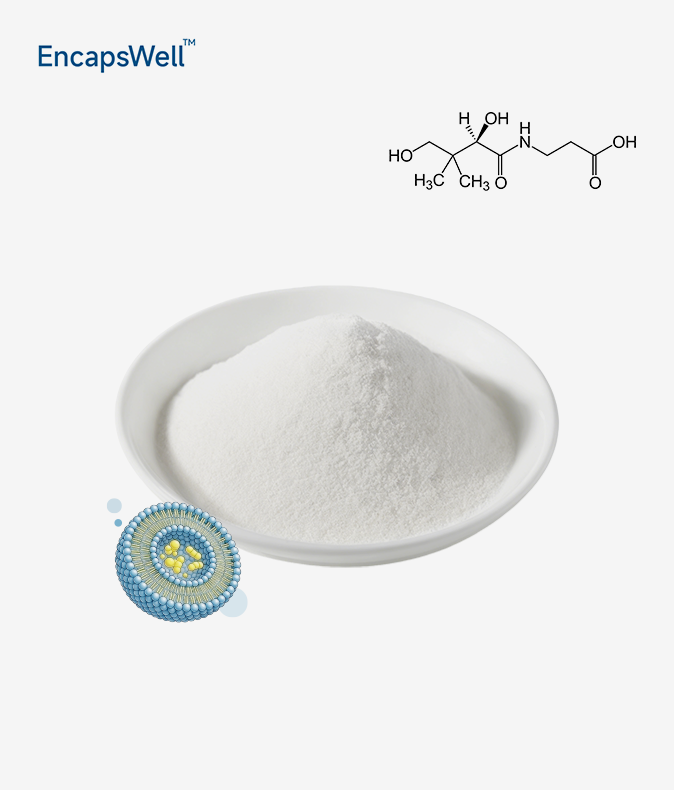 Liposomal Vitamin B5 Liposomal Vitamin B5