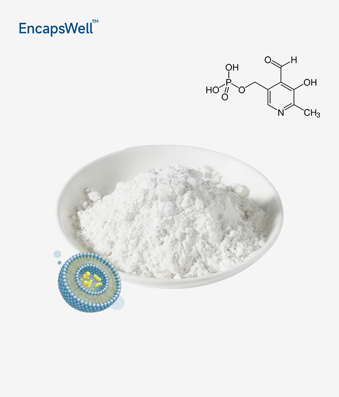 Liposomal Vitamin B6 Liposomal Vitamin B6