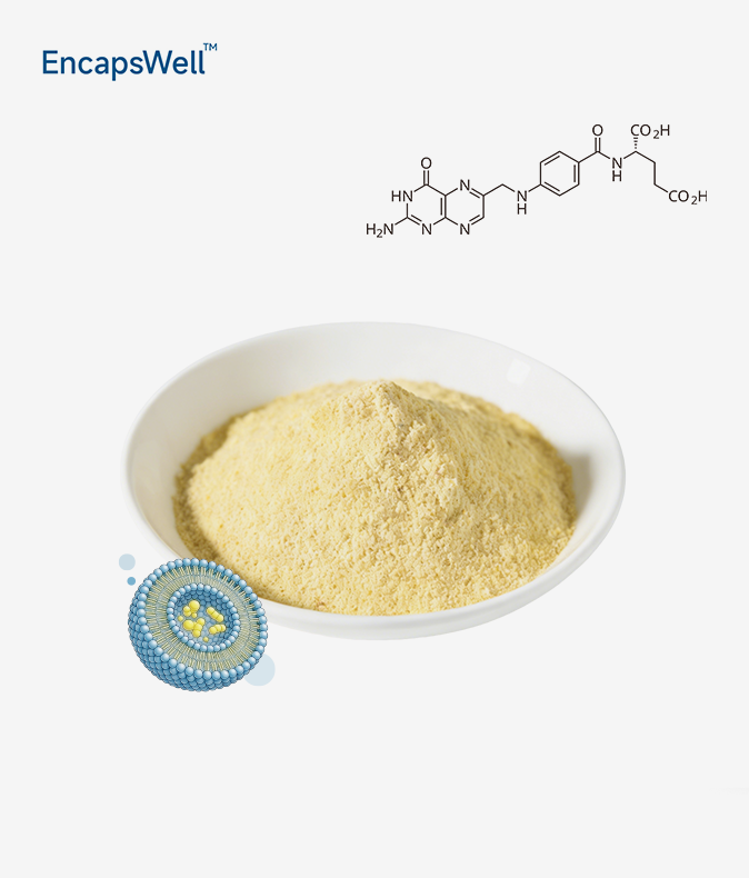 Liposomal Vitamin B9 Liposomal Vitamin B9