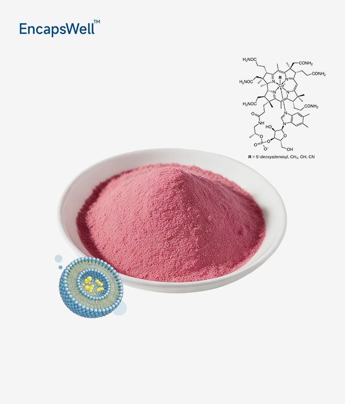 Liposomal Vitamin B12 Liposomal Vitamin B12