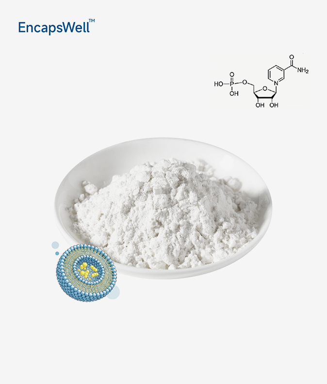 Liposomal NMN Powder Liposomal NMN Powder