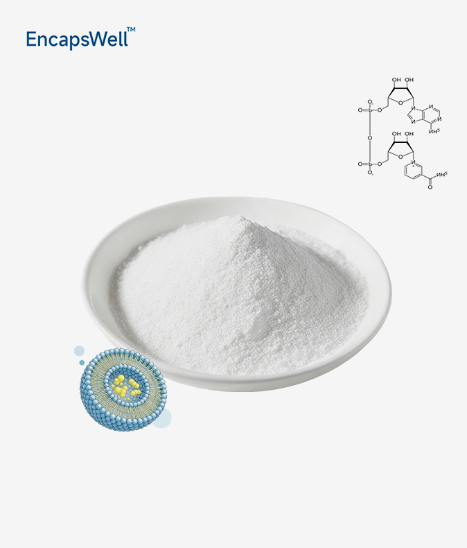 Liposomal NAD+ Powder Liposomal NAD+ Powder