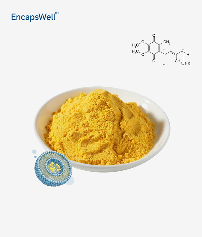 Liposomal Coenzyme Q10 Powder Liposomal Coenzyme Q10 Powder