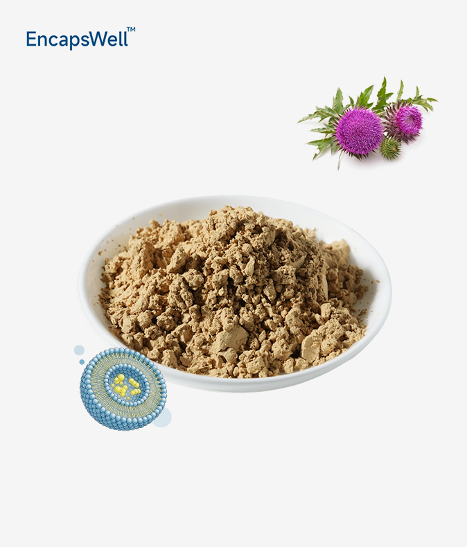 Liposomal Milk Thistle Extract Liposomal Milk Thistle Extract
