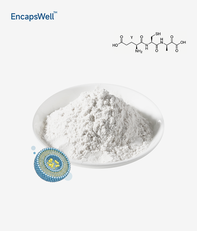OEM Liposomal Glutathion Pulver - cGMP Producent